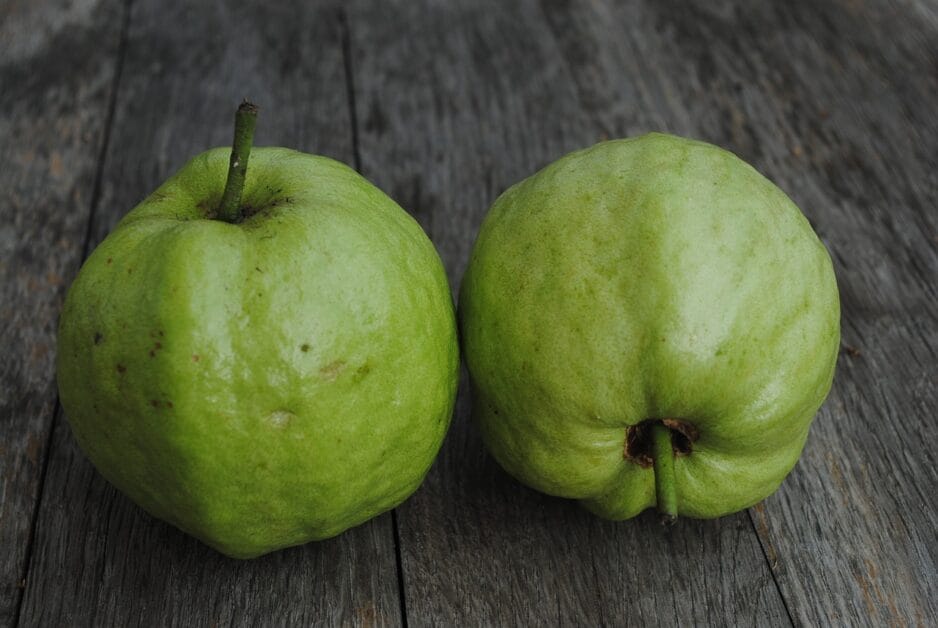 Buah dengan Protein Tertinggi - Jambu Biji