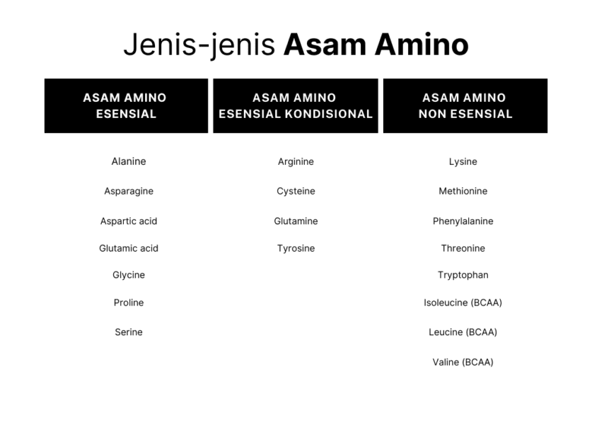 Tabel jenis asam amino